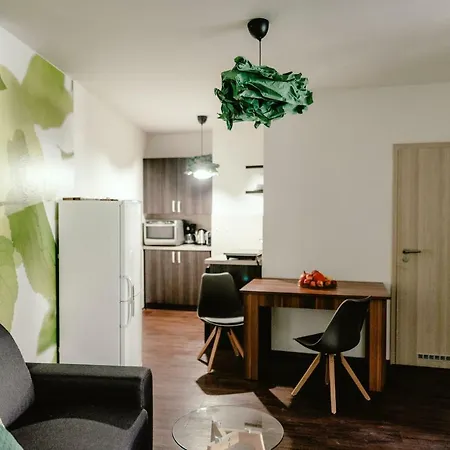 Zelny Trh 30 Apartment Brno