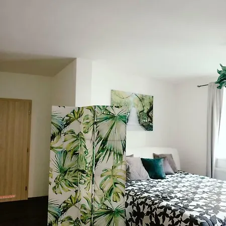Zelny Trh 30 Apartment *
