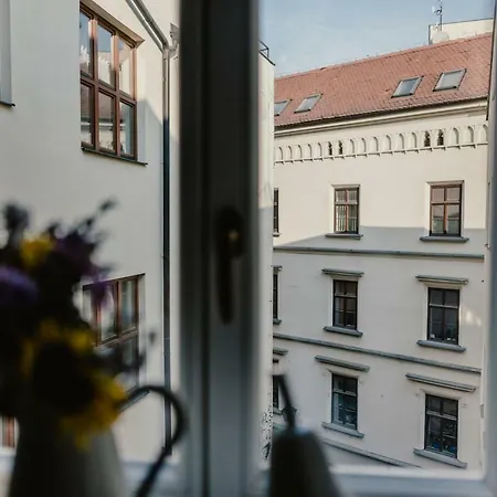 Apartment Zelny Trh 30