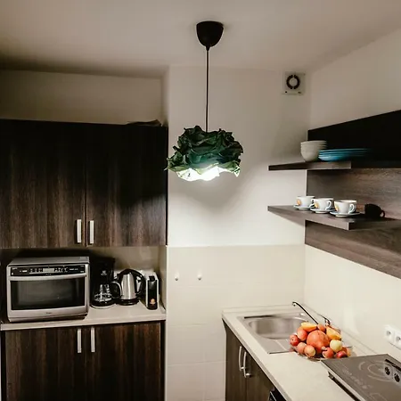 Apartman Zelny Trh 30 *
