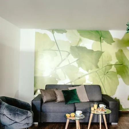 Apartament Zelny Trh 30 *