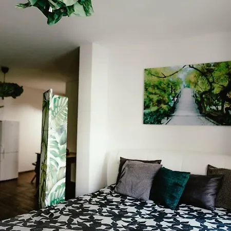 Zelny Trh 30 Apartman