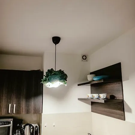 Apartman Zelny Trh 30