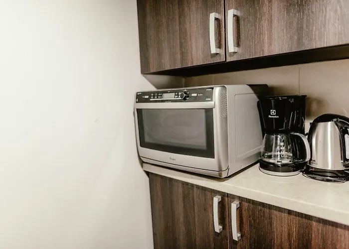 Apartman Zelny Trh 30 Brünn (Brno)